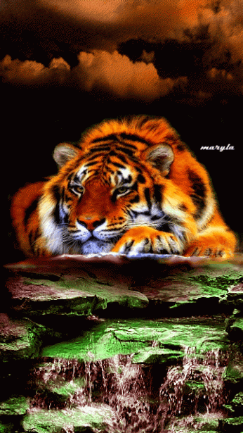 Image result for 3D Animated Tiger