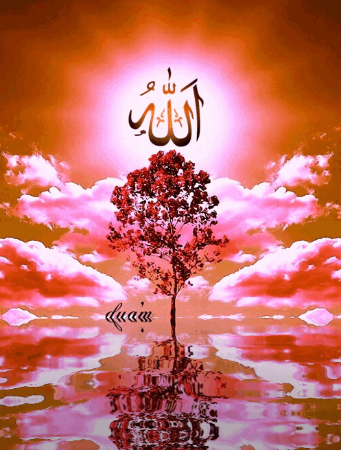 Allah Islamic Gif Photos Disco No - Free GIF on Pixabay - Pixabay